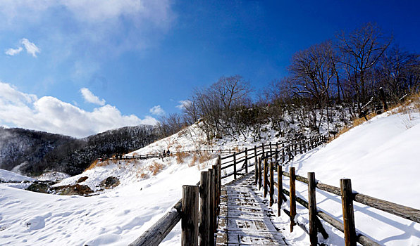 温泉,人行道,桥,雪,冬天