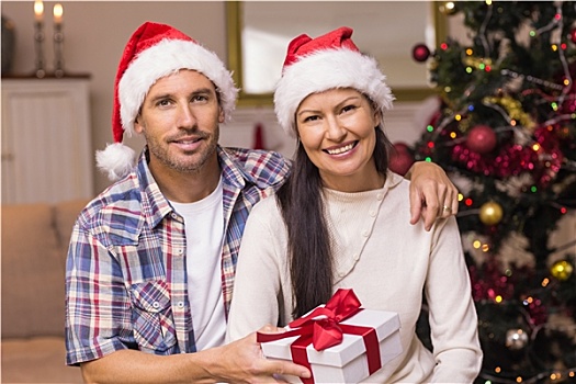 微笑,情侣,圣诞帽,拿着,礼物