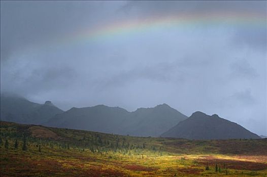氛围,亮光,聚光灯,秋天,彩色,苔原,暗色,积雨云,彩虹,德纳里峰,国家公园,阿拉斯加,美国