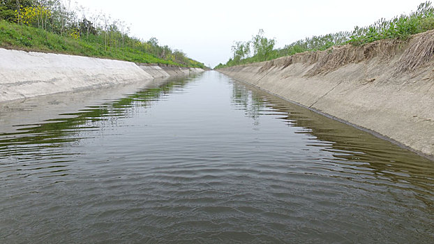 农田,灌溉,水渠,防风林