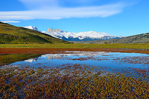 山丘,反射,水,托雷德裴恩国家公园,省,智利,南美
