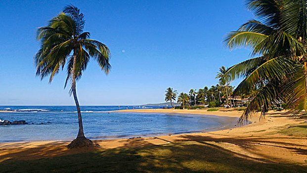 坡伊普,海滩,公园,考艾岛,夏威夷