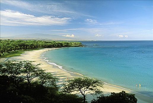 夏威夷,夏威夷大岛,莫纳克亚山海滩酒店,海滩,鲜明,白天,青绿色,海洋