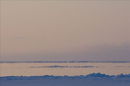 春景,薄雾,上升,上方,浮冰,楚科奇海