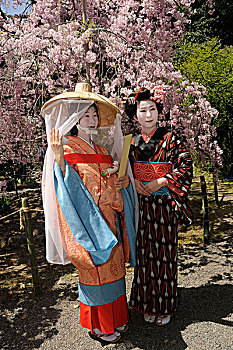 日本,女人,服饰,和平时代,时期,队列,神祠,京都,东亚,亚洲