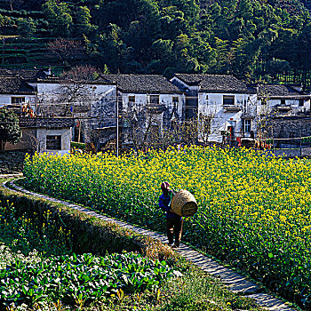 休宁村落