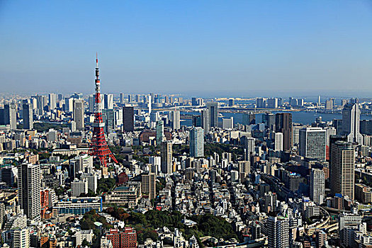 日本,东京,天际线,航拍