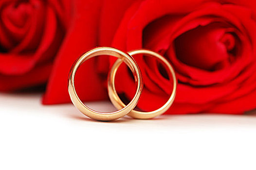 两个,婚戒,红玫瑰,隔绝,白色背景