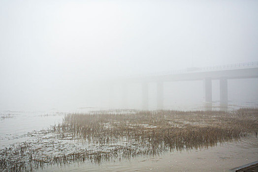 鄞州,咸祥镇,早晨,雾气,水面,象山港大桥