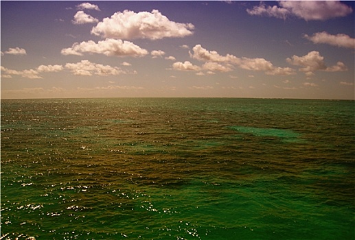 表面,大堡礁,靠近,道格拉斯港