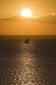 独桅三角帆船,帆,过去,莫桑比克,日落