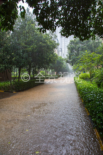 白天下雨天图片真实图片