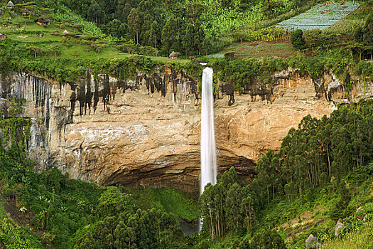 瀑布,树林,国家公园,乌干达