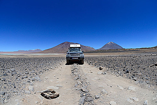 越野车辆,途中,泻湖,路线,高原,动物,波托西地区,玻利维亚,南美