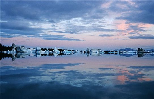 漂浮,冰山,日落,奇奈峡湾国家公园,阿拉斯加,美国