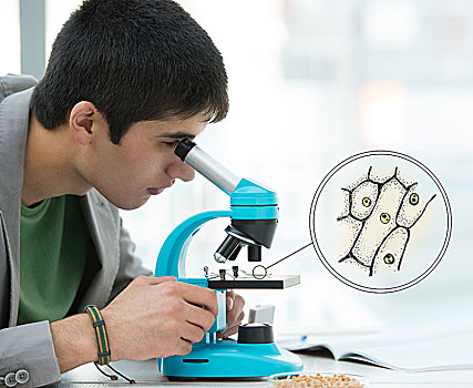 高中生,年轻,英俊,男性,学生,看穿,显微镜,生物学,样品,科学,教室
