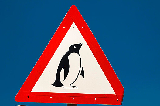 警告标识,企鹅,岬角,西海角,南非,非洲