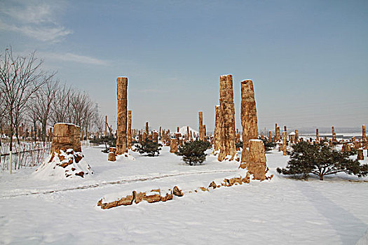 木化石雪景