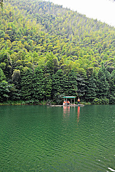 天目湖南山竹海