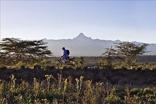 肯尼亚,早晨,一个,男人,骑自行车,工作,肯尼亚山,高耸,背景
