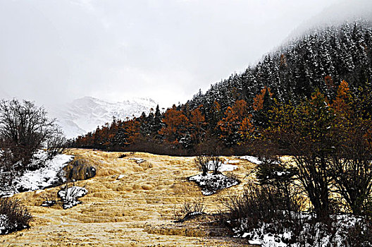 冬季九寨沟的美景