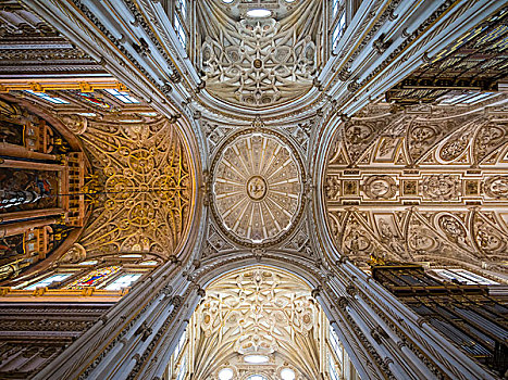 天花板,清真寺,大教堂,科多巴,概念,圣母,室内,科多巴省,安达卢西亚,西班牙,欧洲