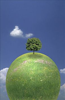 孤树,绿色星球