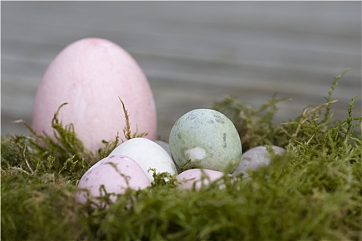 复活节彩蛋,淡色调,窝