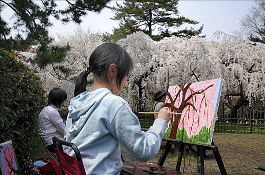 女孩,绘画,樱花,业余爱好者,群体,宫殿,公园,京都,日本,亚洲