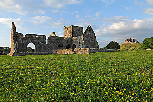 教堂,石头,蒂珀雷里郡,爱尔兰,欧洲