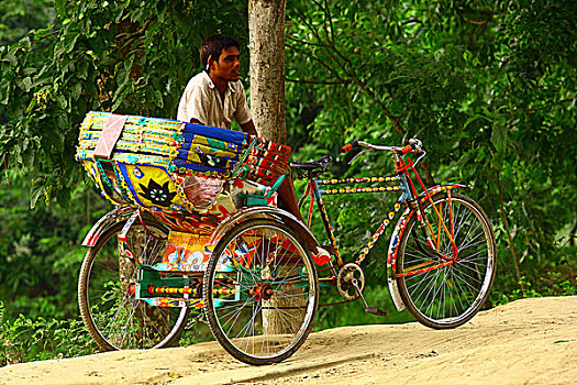 乡村,人力车,孟加拉,四月,2009年