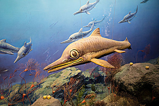 大眼鱼龙,侏罗纪晚期,中等体型的肉食性动物,鱼龙