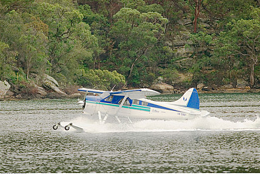 水上飞机,降落,悉尼,澳大利亚