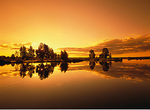 日出,上方,湖,海滩,省立公园,曼尼托巴,加拿大