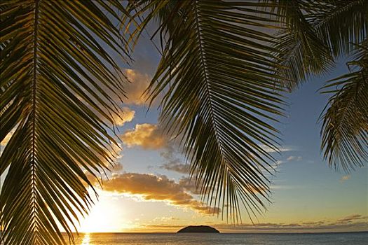 南太平洋,斐济,日落,海滩,岛屿