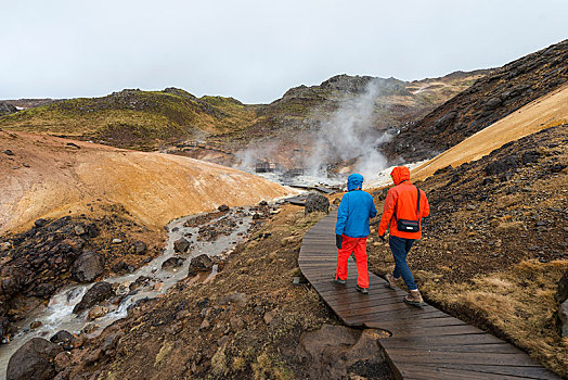 两个,远足,蒸汽,土地,地热,区域,火山,国家级保护区,冰岛,欧洲