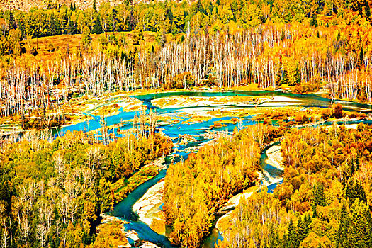 白沙湖,桦树,河流,秋色