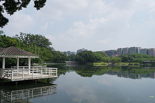 羊城广州国庆假日流花湖公园美丽景色