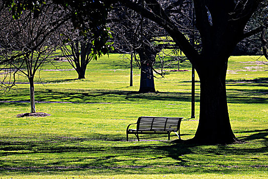 公园草地上的椅子
