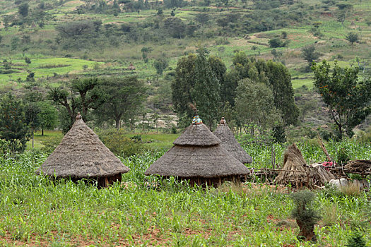 传统,房子,乡村,非洲