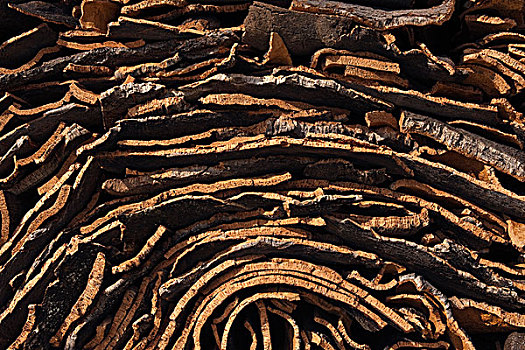 栓皮栎,西班牙栓皮栎,树皮,工厂,一堆,处理,跟随,埃斯特雷马杜拉,西班牙