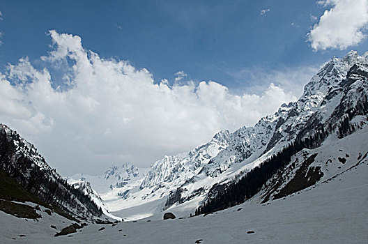 云,上方,积雪,山峦,冰河,查谟-克什米尔邦,印度