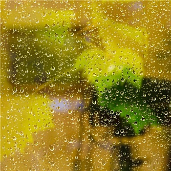 黄色背景,雨滴,窗玻璃