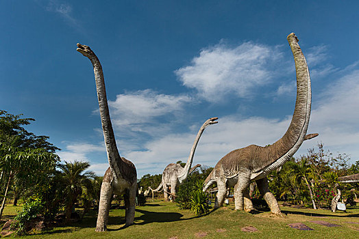 恐龙,公园,侏罗纪,地区,省,东北方,泰国