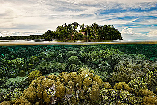 珊瑚,仰视,水位线,岛屿,新不列颠岛,所罗门群岛