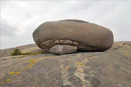 花冈岩,石头,山,远眺,靠近,奥尔巴尼,西澳大利亚,澳大利亚