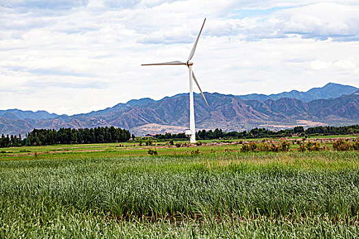 草原上的风力发电风车