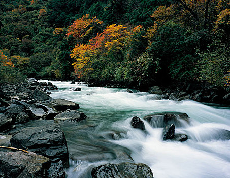 四川卧龙沟秋天