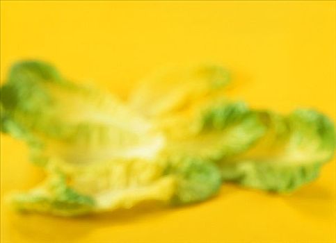 罗曼莴苣,黄色,艺术
