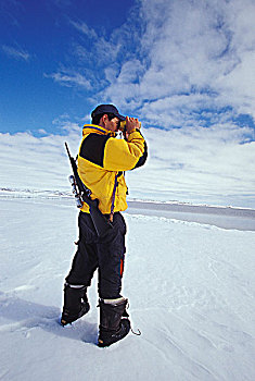 年轻,因纽特人,猎捕,地平线,冰流,边缘,靠近,乡村,巴芬岛,加拿大